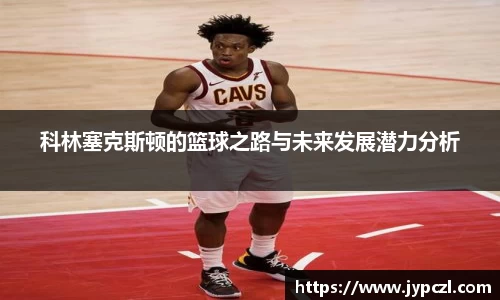 德信体育官网入口